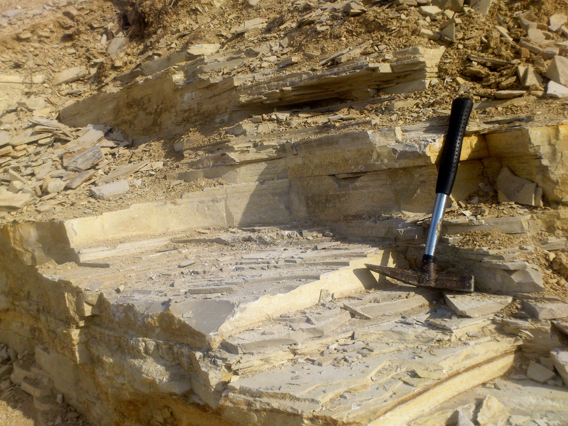 Frankische Jura Solnhofen Geologische Streifzuge